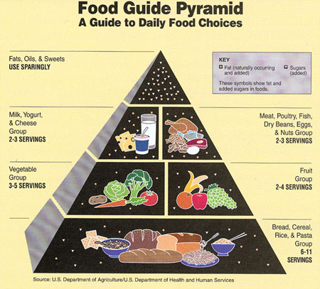 Food Guid Pyramid: A Guide to Daily Food Choices