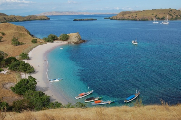 Komodo