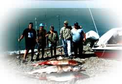 Pesca del tibur�n embarcado