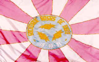 rosas.jpeg (9416 bytes)