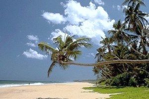 brazil beach picture
