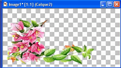 img2.gif