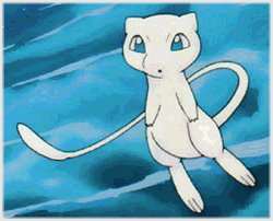 Meu amigo Mew!