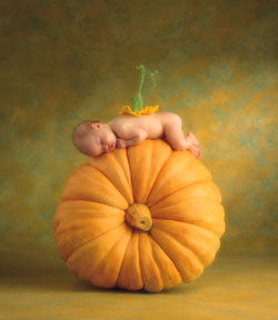 foto de Anne Geddes - www.annegeddes.com