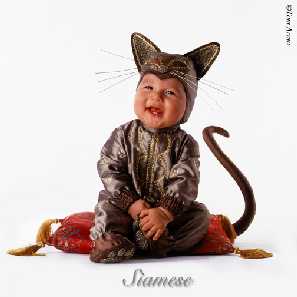 Foto de Tom Arma - www.tomarma.com