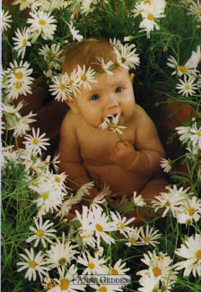 foto de Anne Geddes - www.annegeddes.com