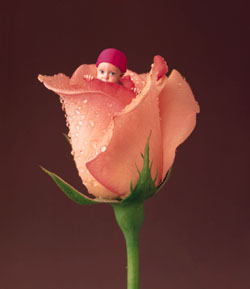 foto de Anne Geddes - www.annegeddes.com