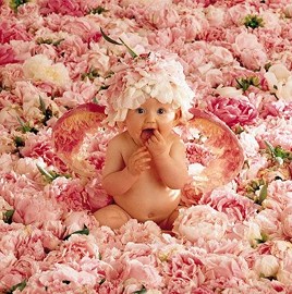 foto de Anne Geddes - www.annegeddes.com