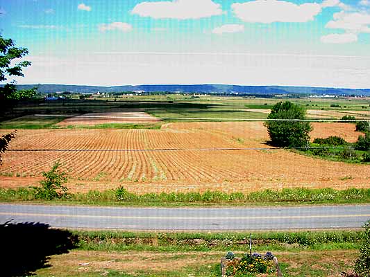 Room 3 View