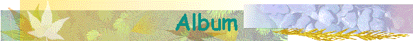 Album