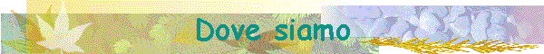 Dove siamo