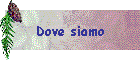 Dove siamo