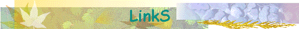 LinkS