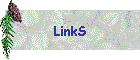 LinkS