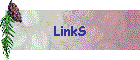 LinkS