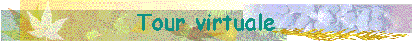 Tour virtuale