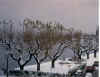 lac5.jpg (629274 byte)