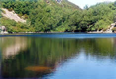 Laguna en Muniellos