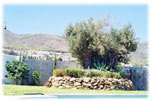 Vista del jard&iacute;n