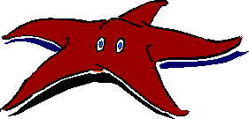 starfish