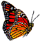 Las Mariposas: Mariposas Monarcas