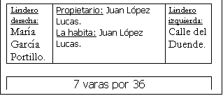 Cuadro de texto: Lindero derecha:   Mar�a Garc�a Portillo.	Propietario: Juan L�pez Lucas.La habita: Juan L�pez Lucas.	Lindero izquierda:Calle del Duende.

7 varas por 36

