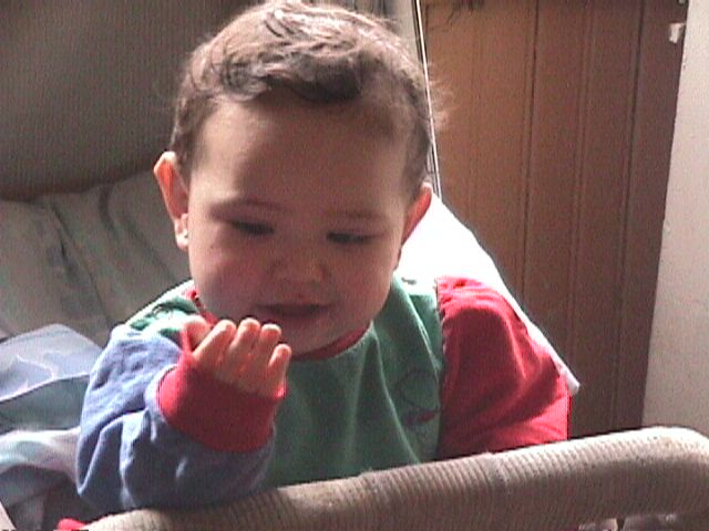 Analy