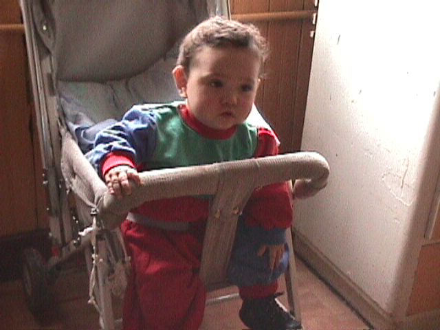 Analy