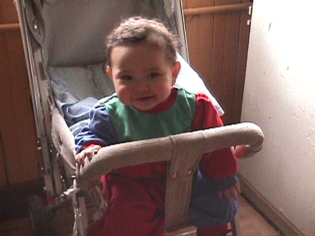 Analy