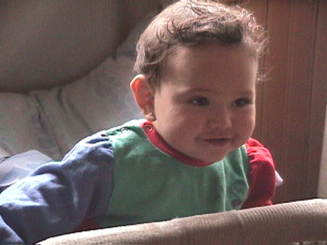 Analy