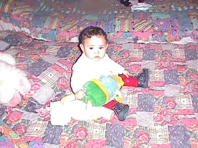 Analy
