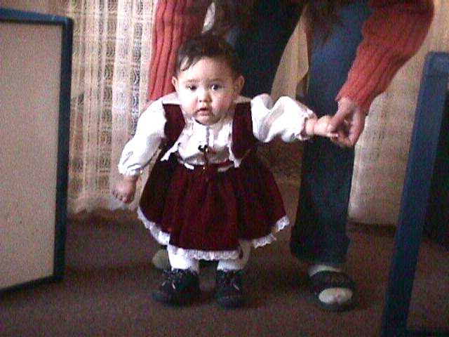 Analy