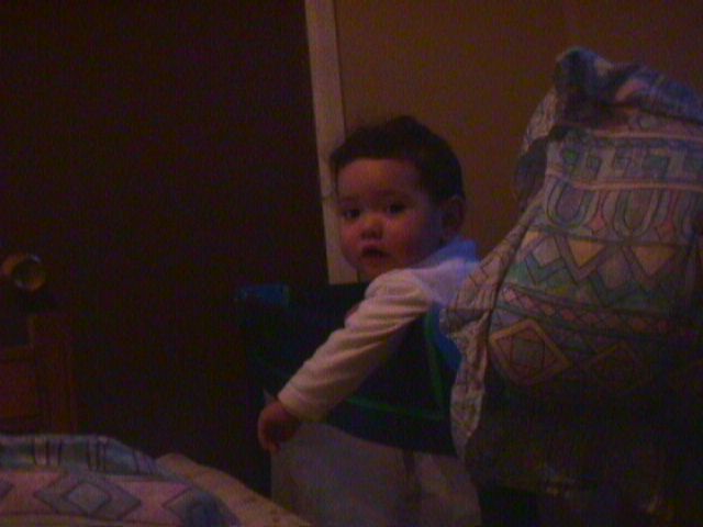 Analy