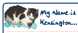 My Name is Kensington