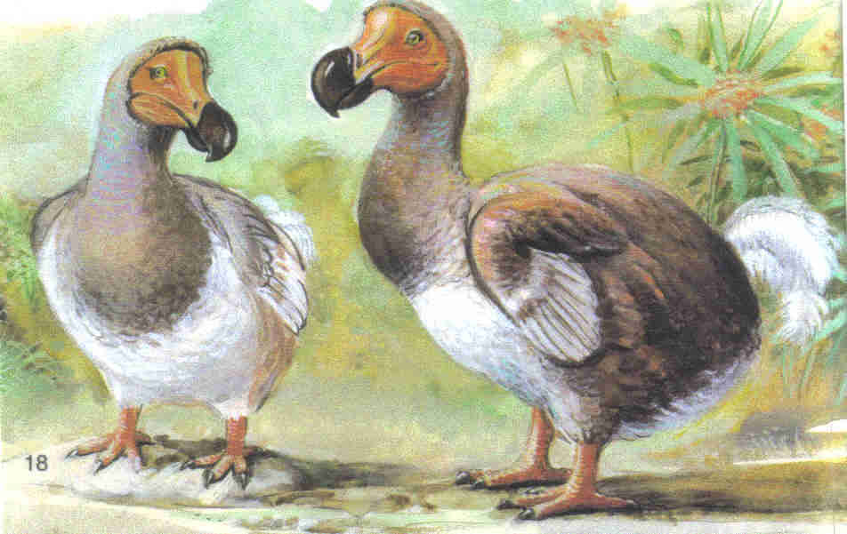 Ausgestorbene Tiere