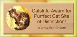 'Cats Info' Award