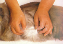 Removing Tangles by Hand and Checking Skin