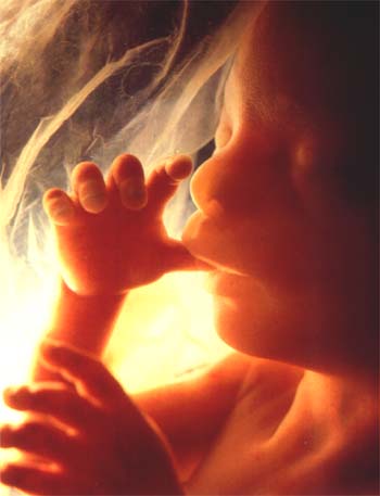 A child, not yet born.