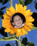 Click to go to Anthony's Page