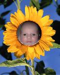 Click to go to Olivia's Page