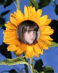 Click to go to Sarah's Page