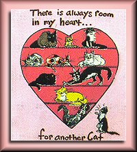 All Heart Club
