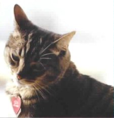 Tigger 1999