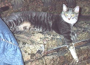 Bessie