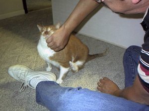 Randy and Cinnamon