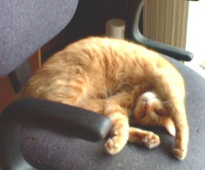 A tired Gus