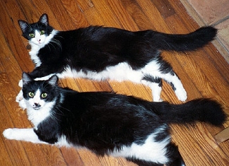Cindy and Charlie
