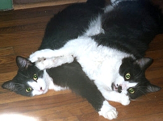 Cindy and Charlie at play