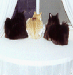 Mel, Mia, Patrick