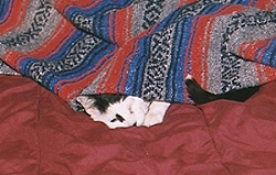 Marble
